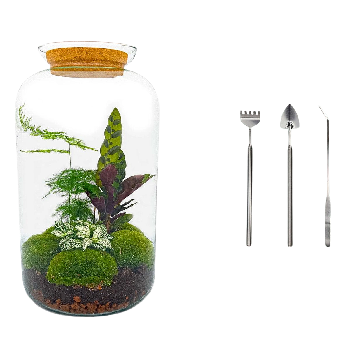 Botanical Sven XL - Terrarium