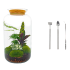 Botanical Sven XL - Terrarium
