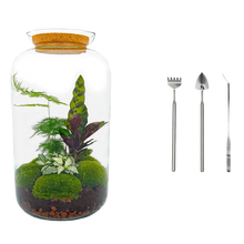 Botanical Sven XL - Terrarium