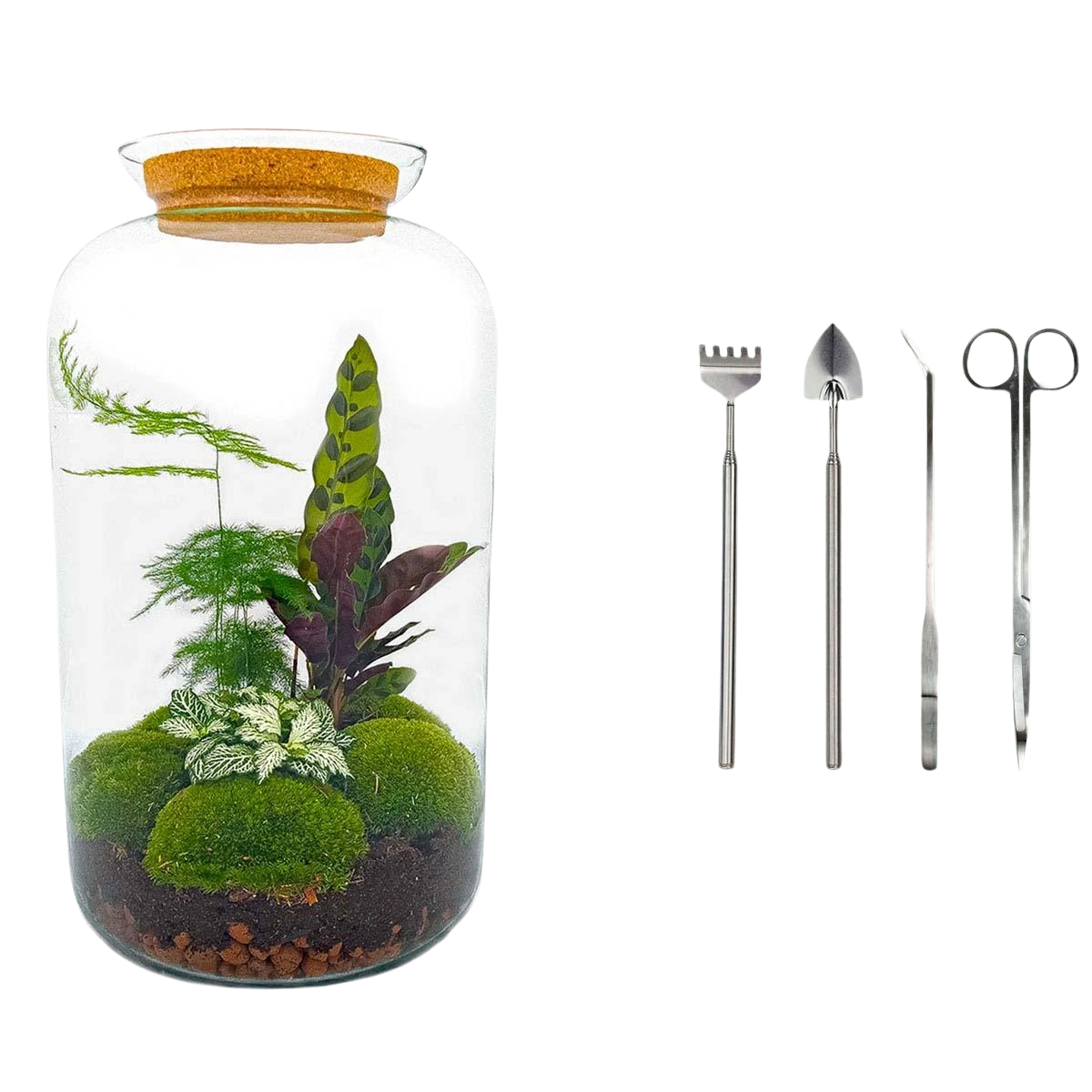 Botanical Sven XL - Terrarium