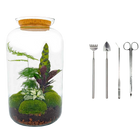 Botanical Sven XL - Terrarium