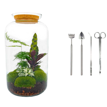 Botanical Sven XL - Terrarium