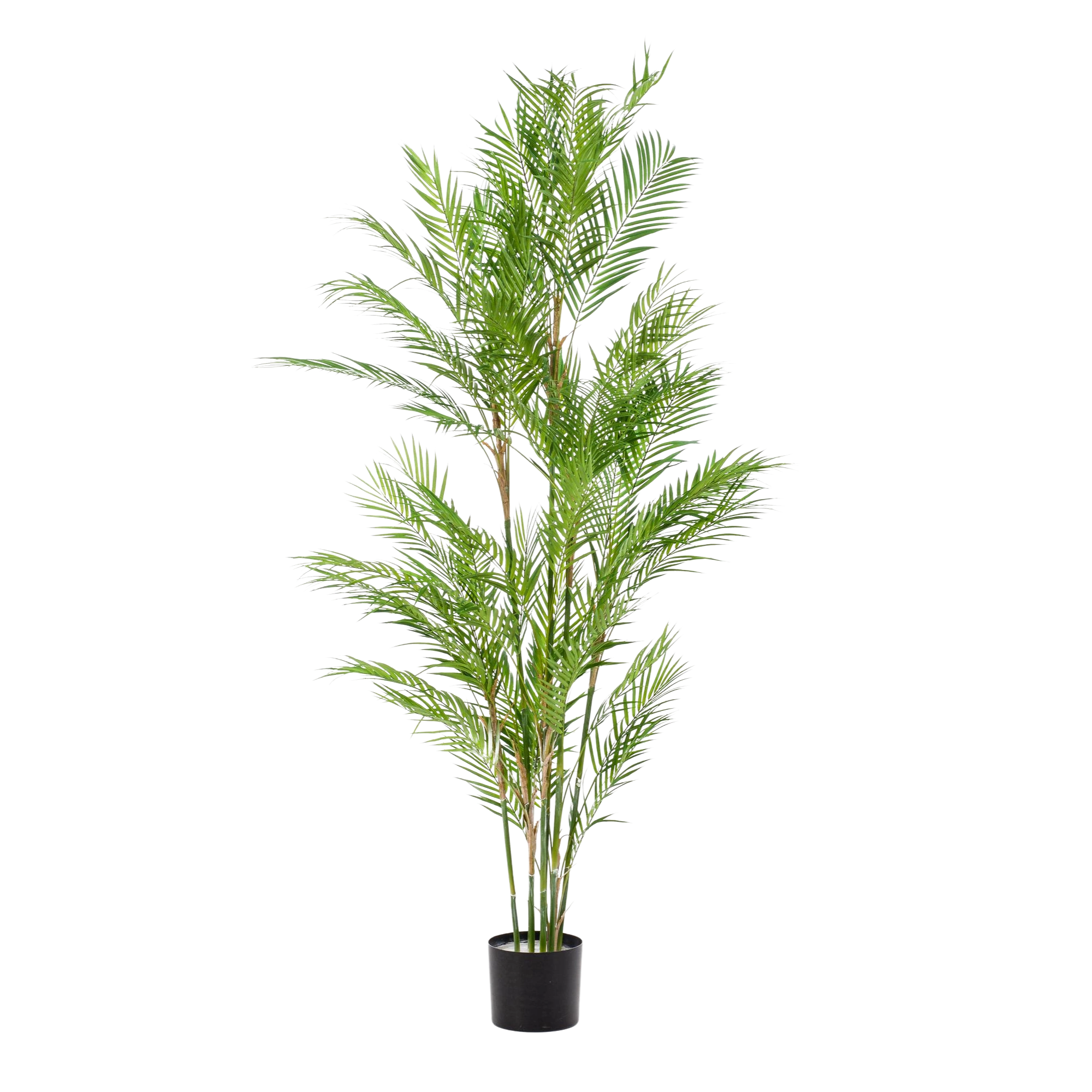 Chamaedorea Elegans Kunstplant (Bergpalm)