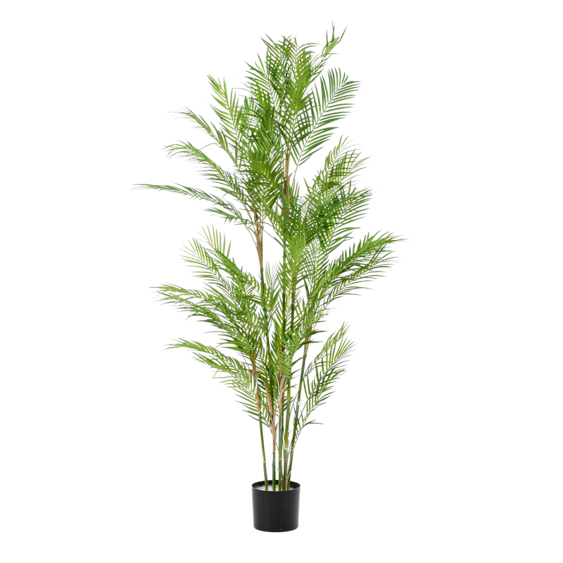 Chamaedorea Elegans Kunstplant (Bergpalm)