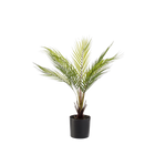 Chamaedorea Kunstplant (Bergpalm)
