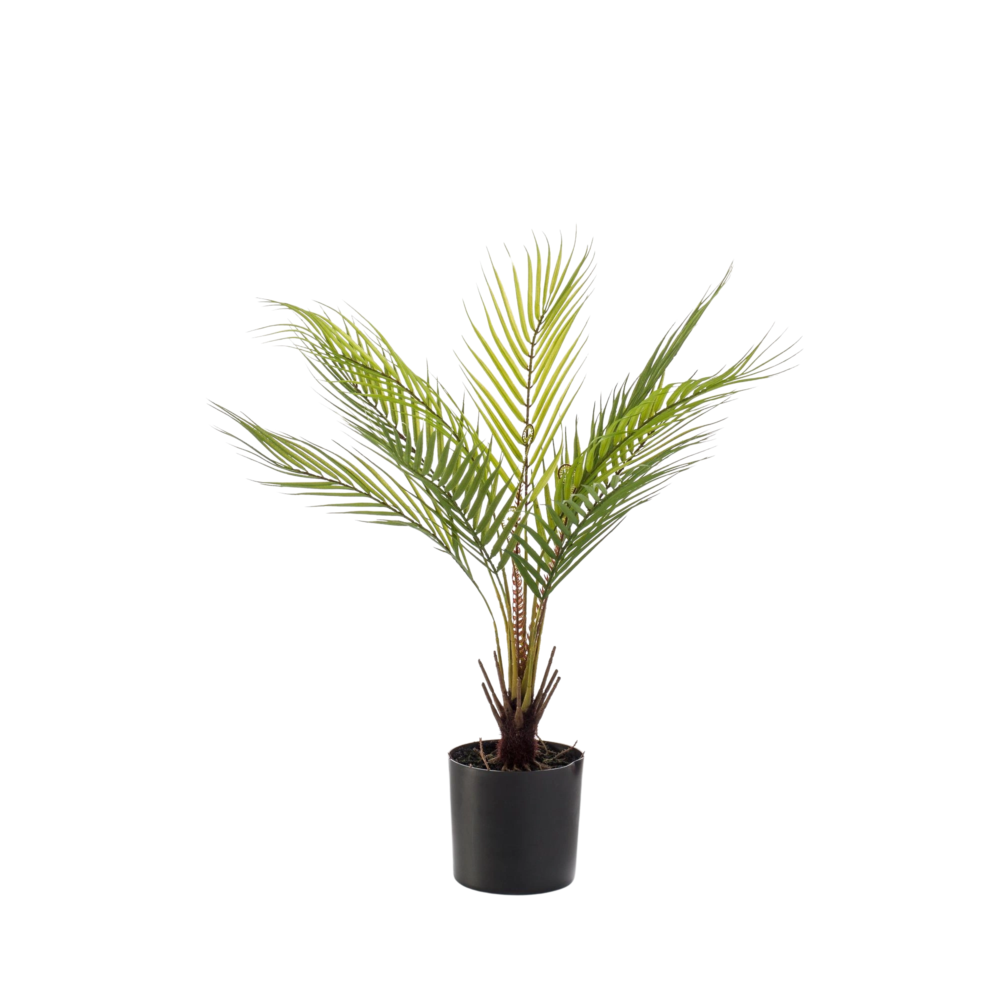 Chamaedorea Kunstplant (Bergpalm)