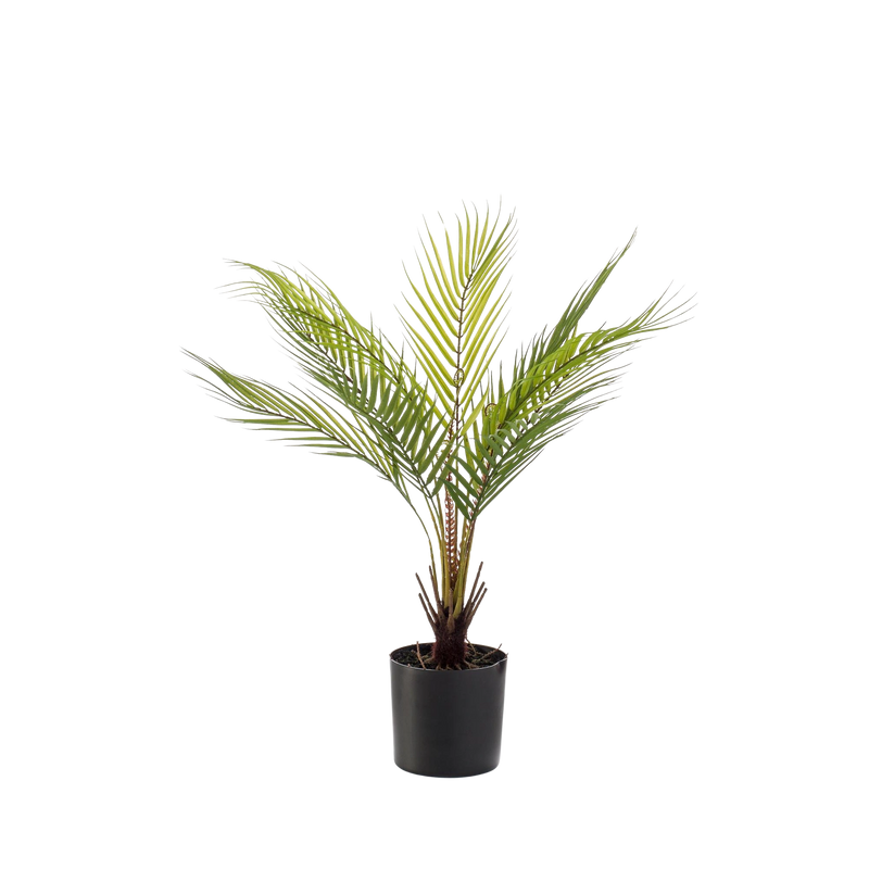 Chamaedorea Kunstplant (Bergpalm)