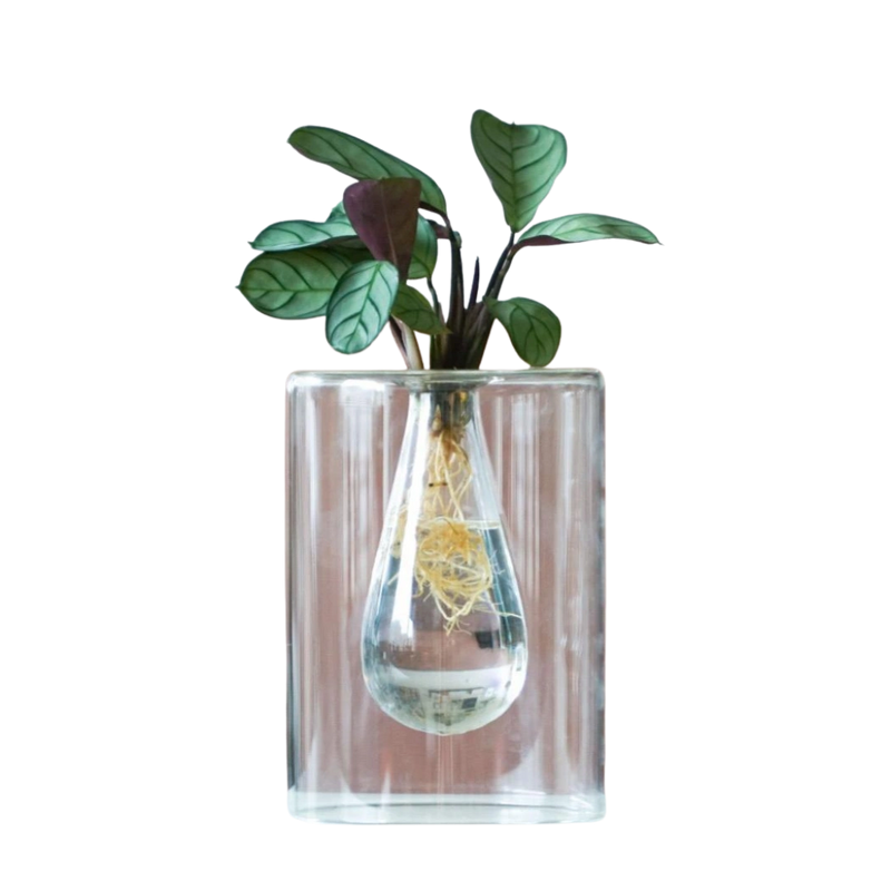 Christmas Mix in Sydney Glas + LED