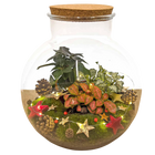 Christmas Terrarium Decoration Kit