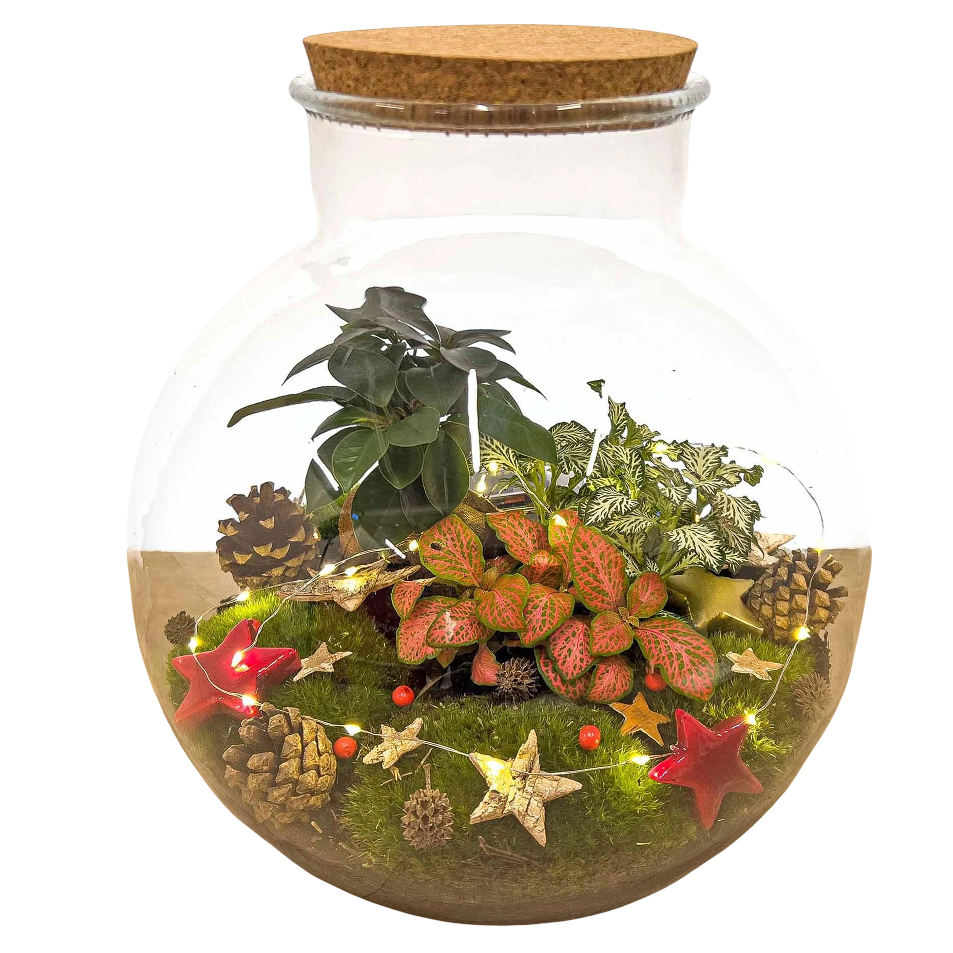 Christmas Terrarium Decoration Kit