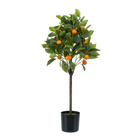 Citrus Sinensis Kunstplant (Sinaasappelboom)