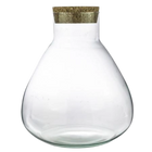 Closed Terrarium bottle Sammie