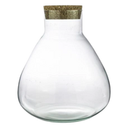 Closed Terrarium bottle Sammie