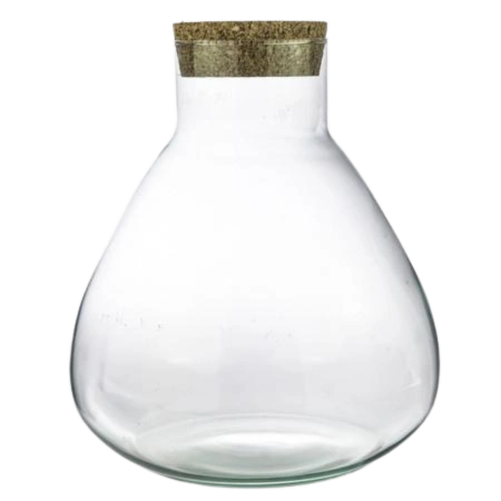 Closed Terrarium bottle Sammie