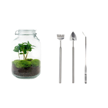 Coffea Arabica Terrarium Jar