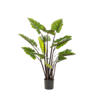 Colocasia Pink China Kunstplant (Olifantsoor)