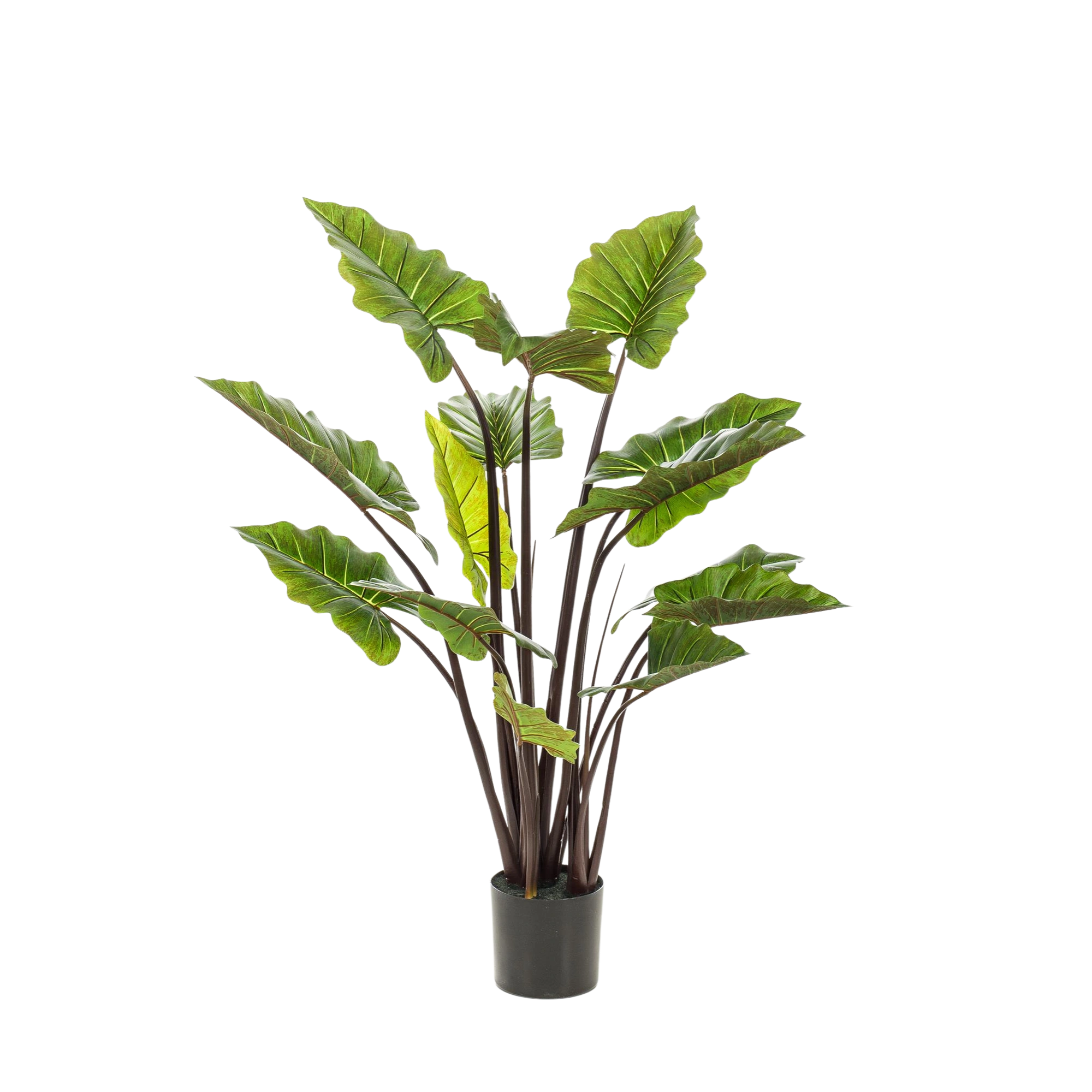 Colocasia Pink China Kunstplant (Olifantsoor)