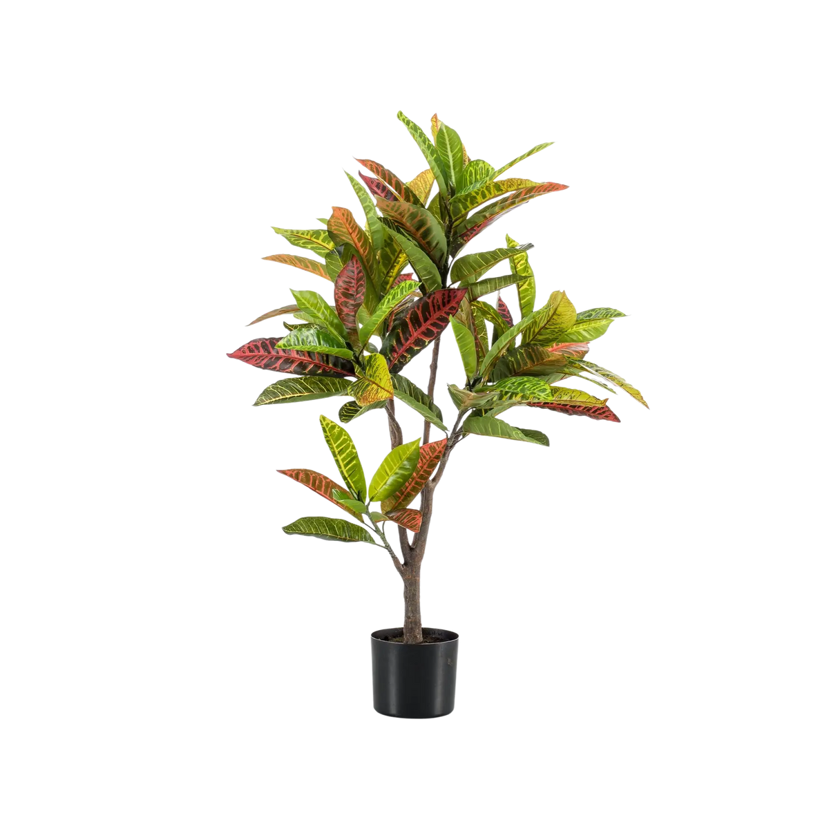 Croton Codiaeum Kunstplant (Wonderstruik) Everspring