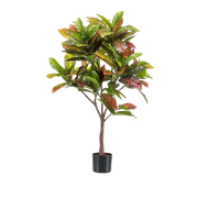Croton Codiaeum Kunstplant (Wonderstruik) Everspring