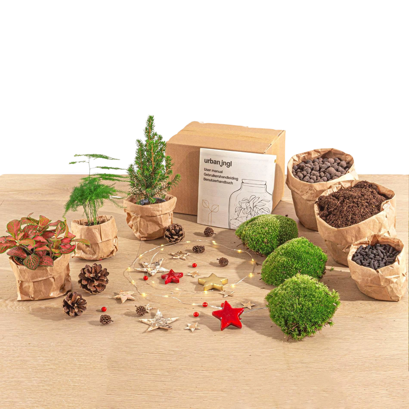 DIY Kerst Terrarium Startpakket – Mini Kerstboom