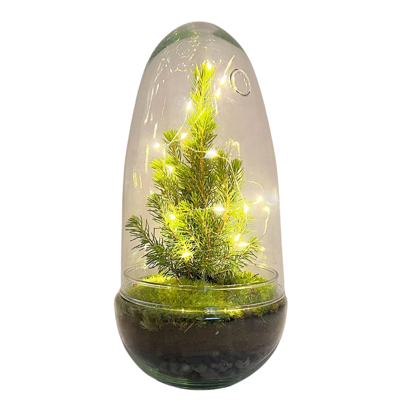 DIY terrarium - Egg Christmas