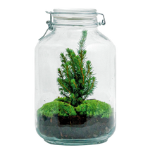 DIY terrarium - Jar Christmas