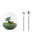 Dome Ficus Ginseng Bonsai - Terrarium