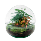 Dome Red Terrarium
