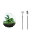 Dome Terrarium