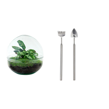 Dome Terrarium