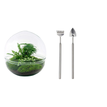 Dome XL Terrarium
