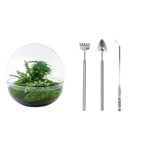 Dome XL Terrarium