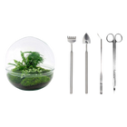 Dome XL Terrarium
