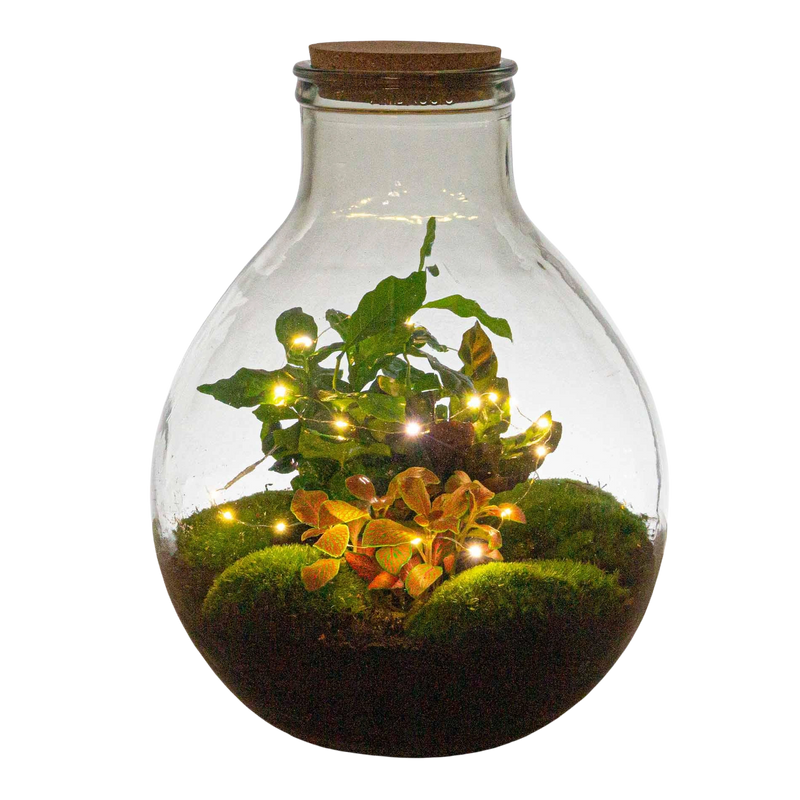 Draadverlichting Warm Wit – 1 meter