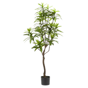 Dracaena Kunstplant (Drakenboom) Everspring