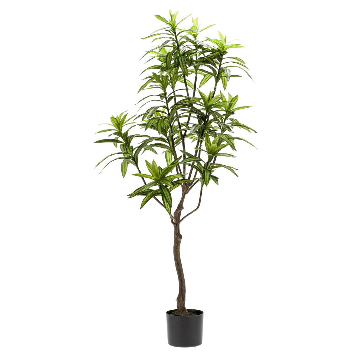 Dracaena Kunstplant (Drakenboom) Everspring