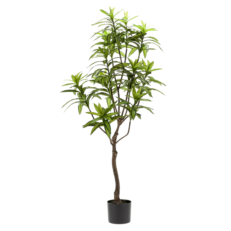 Dracaena Kunstplant (Drakenboom)
