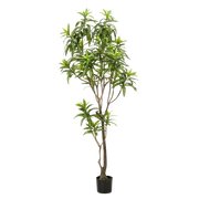 Dracaena Kunstplant (Drakenboom) Everspring