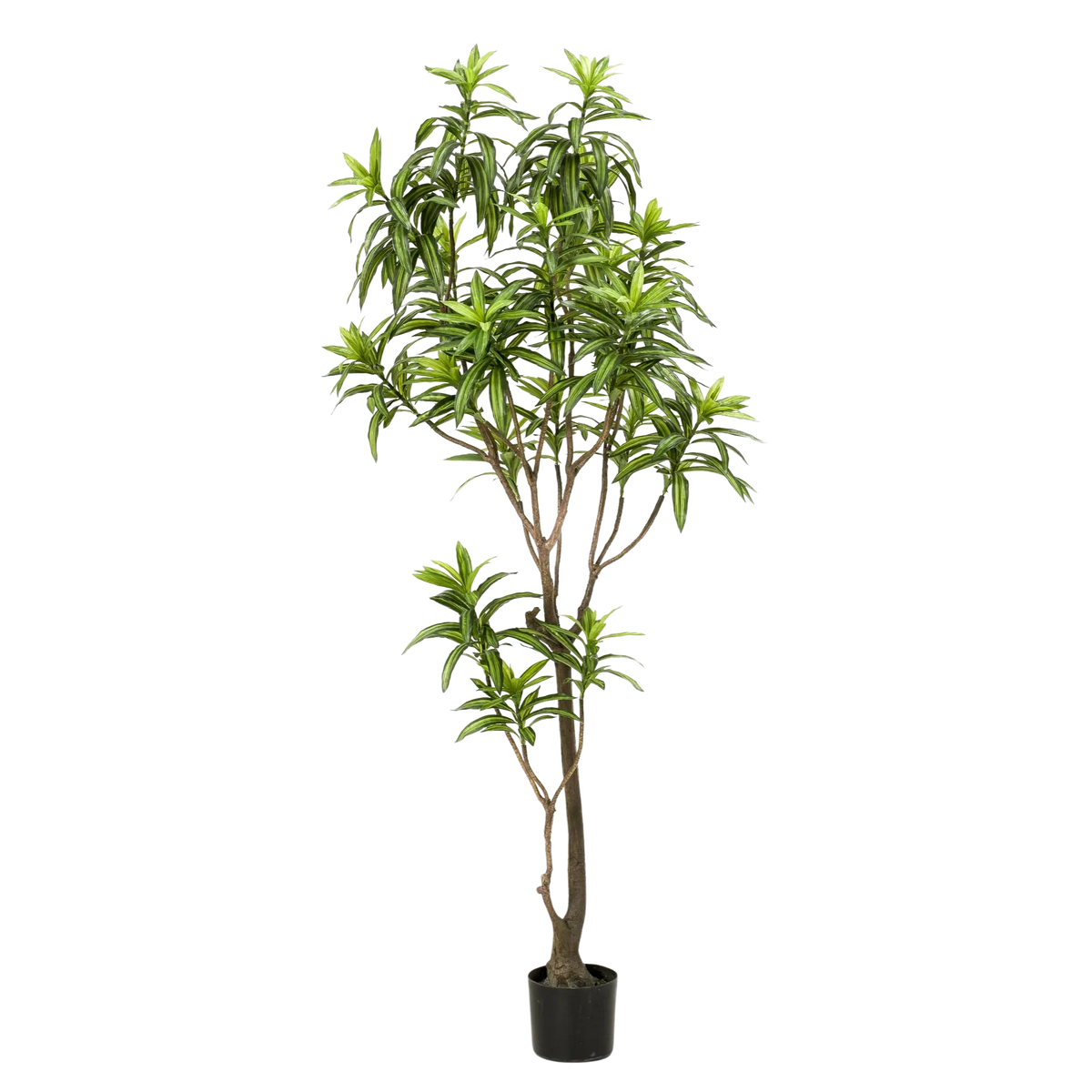 Dracaena Kunstplant (Drakenboom) Everspring