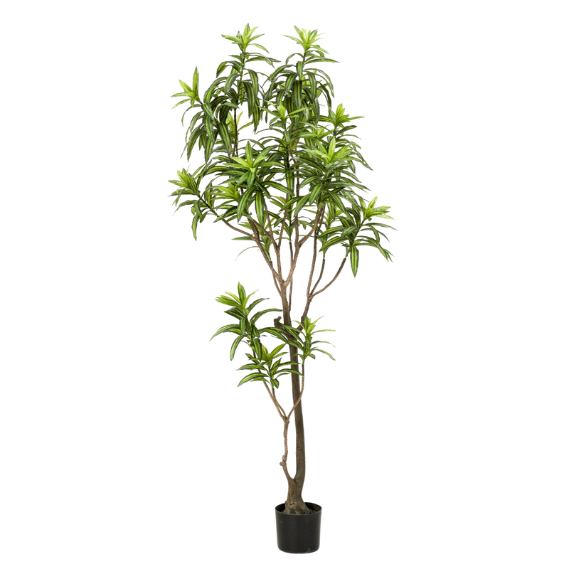 Dracaena Kunstplant (Drakenboom)