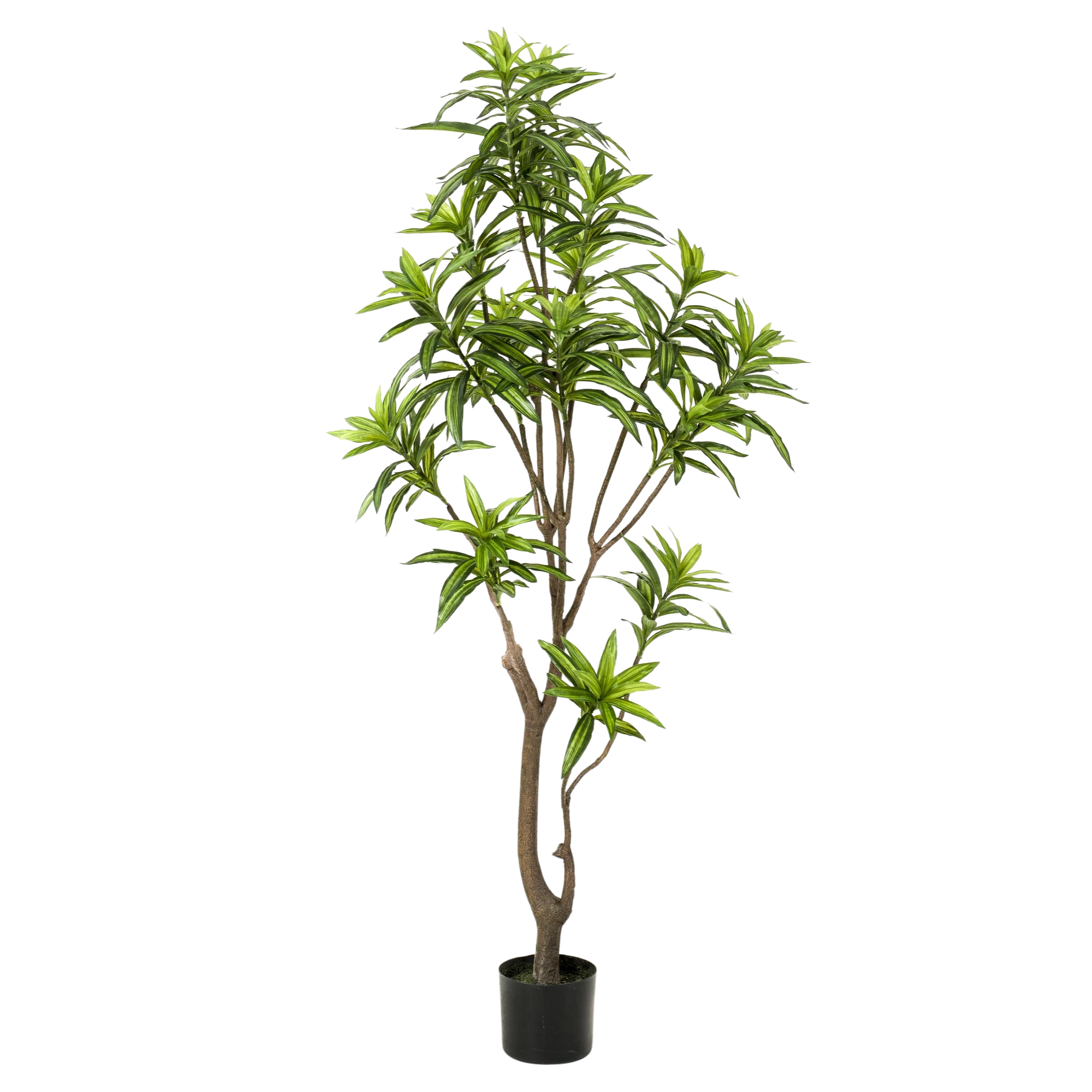 Dracaena kunstplant (Drakenboom)