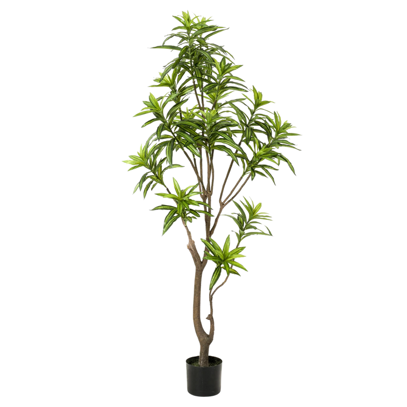 Dracaena kunstplant (Drakenboom)