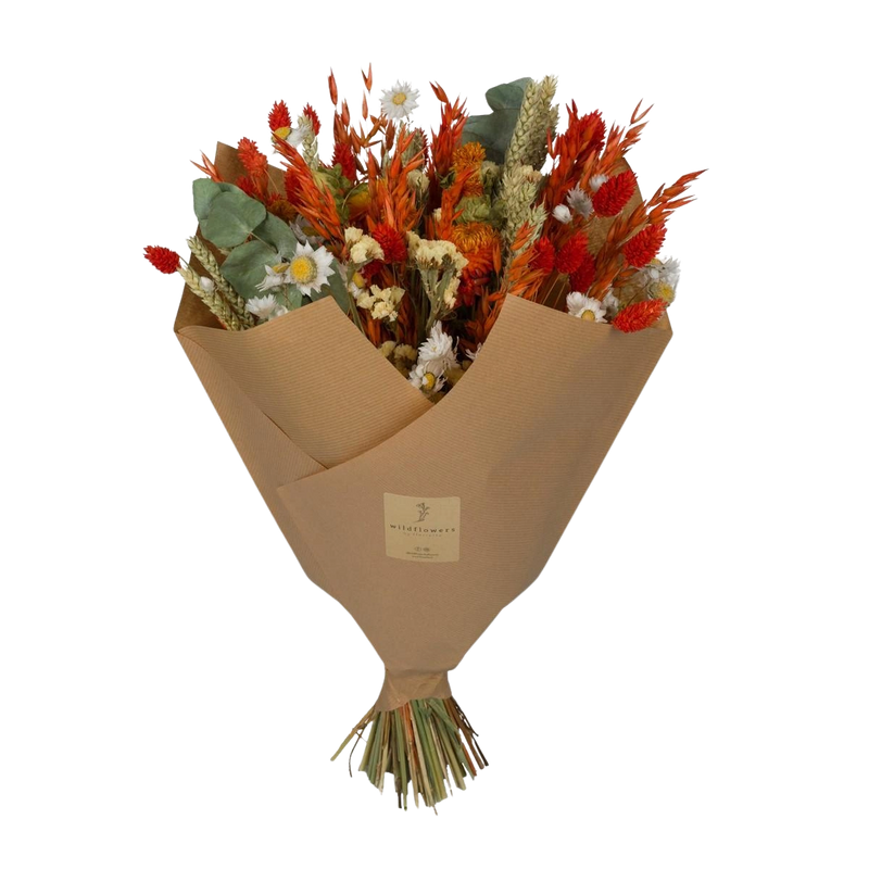 Droogbloemen – Classic Orange