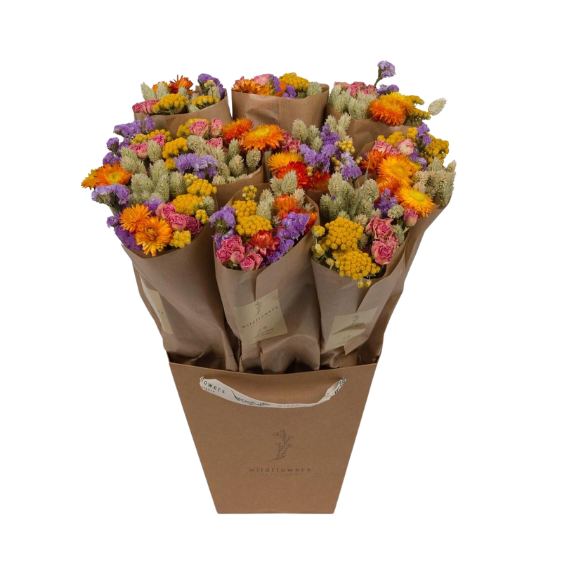 Droogbloemen – Market More Multi (10x | 50cm)