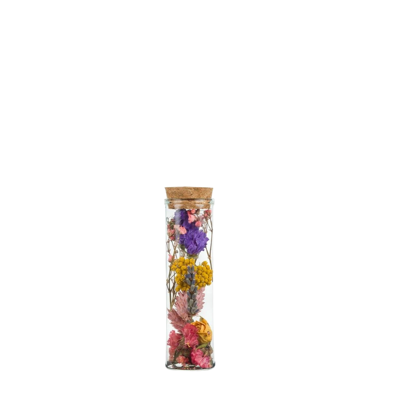 Droogbloemen – Wish Bottle Small Multi (10cm | 12x)