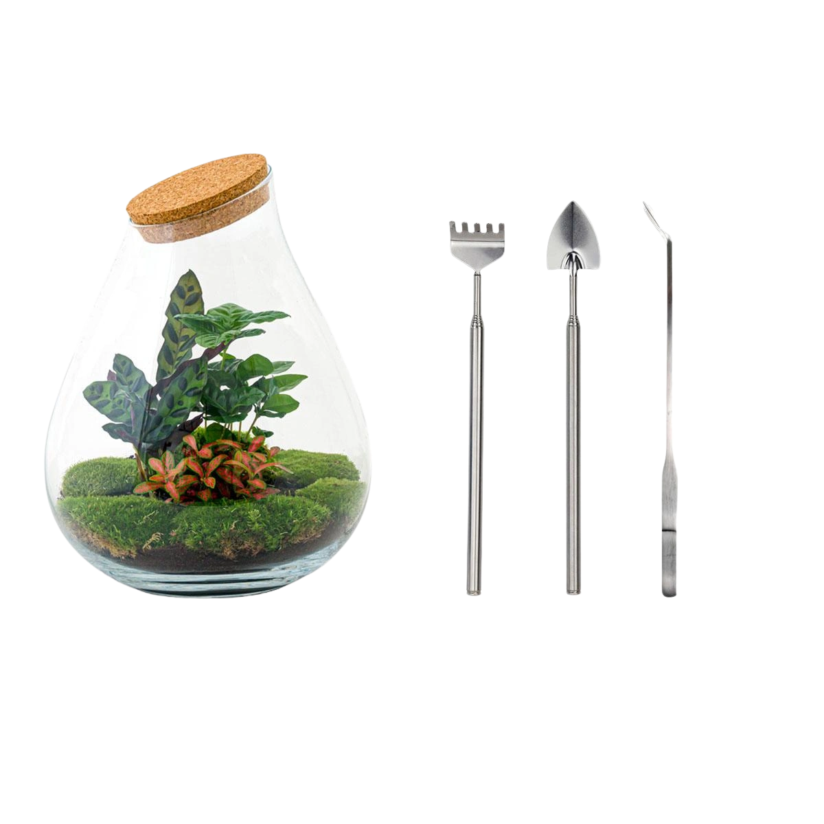 Drop XL Rood Terrarium