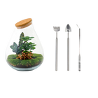 Drop XL Rood Terrarium