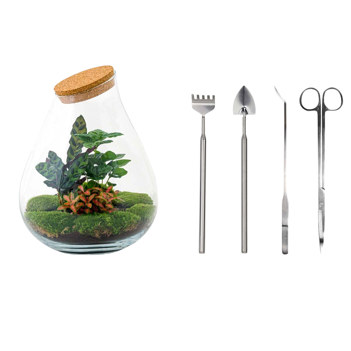 Drop XL Rood Terrarium