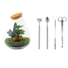Drop XL Rood Terrarium