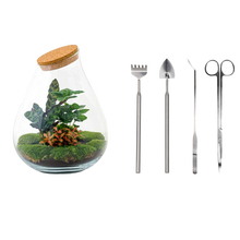 Drop XL Rood Terrarium